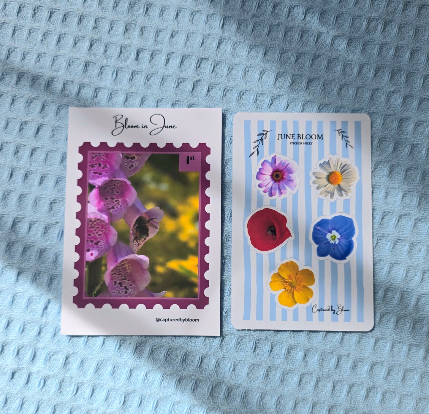 Bloom in June Mini Print & Stickers