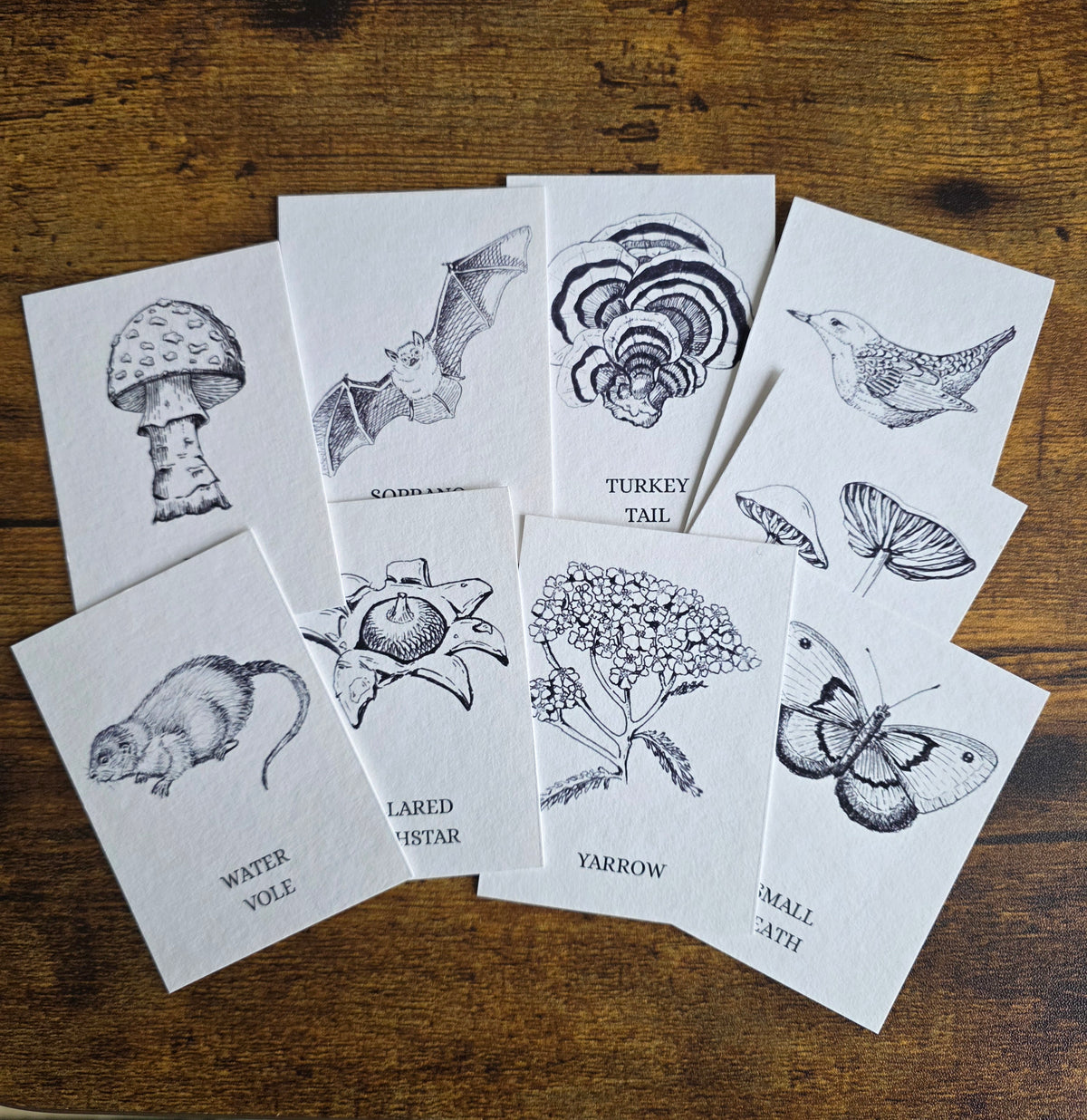 Wrexham Mini Print Pack