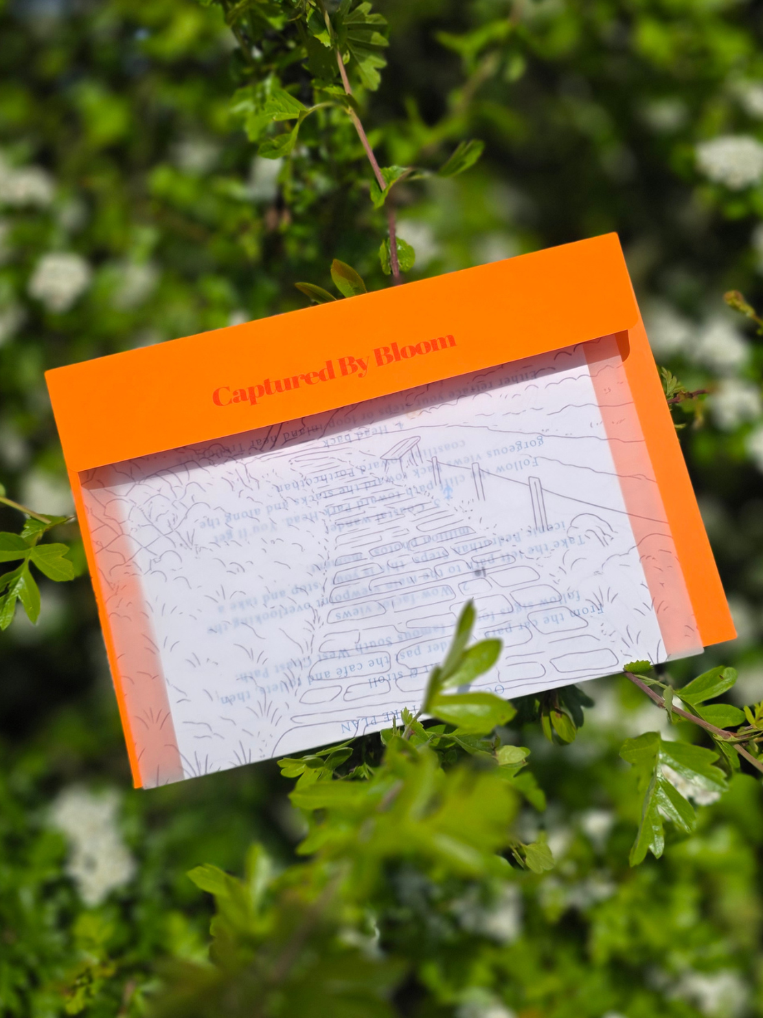 Captured By Bloom Mail Club