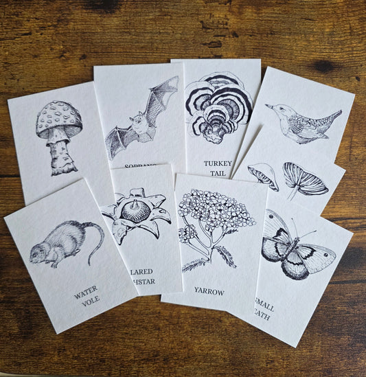 Wrexham Mini Print Pack