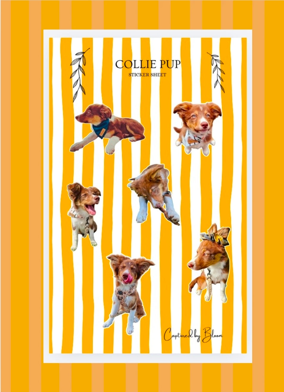 Personalised Pet Sticker sheet