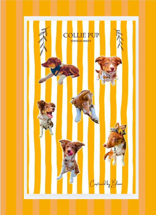 Personalised Pet Sticker sheet