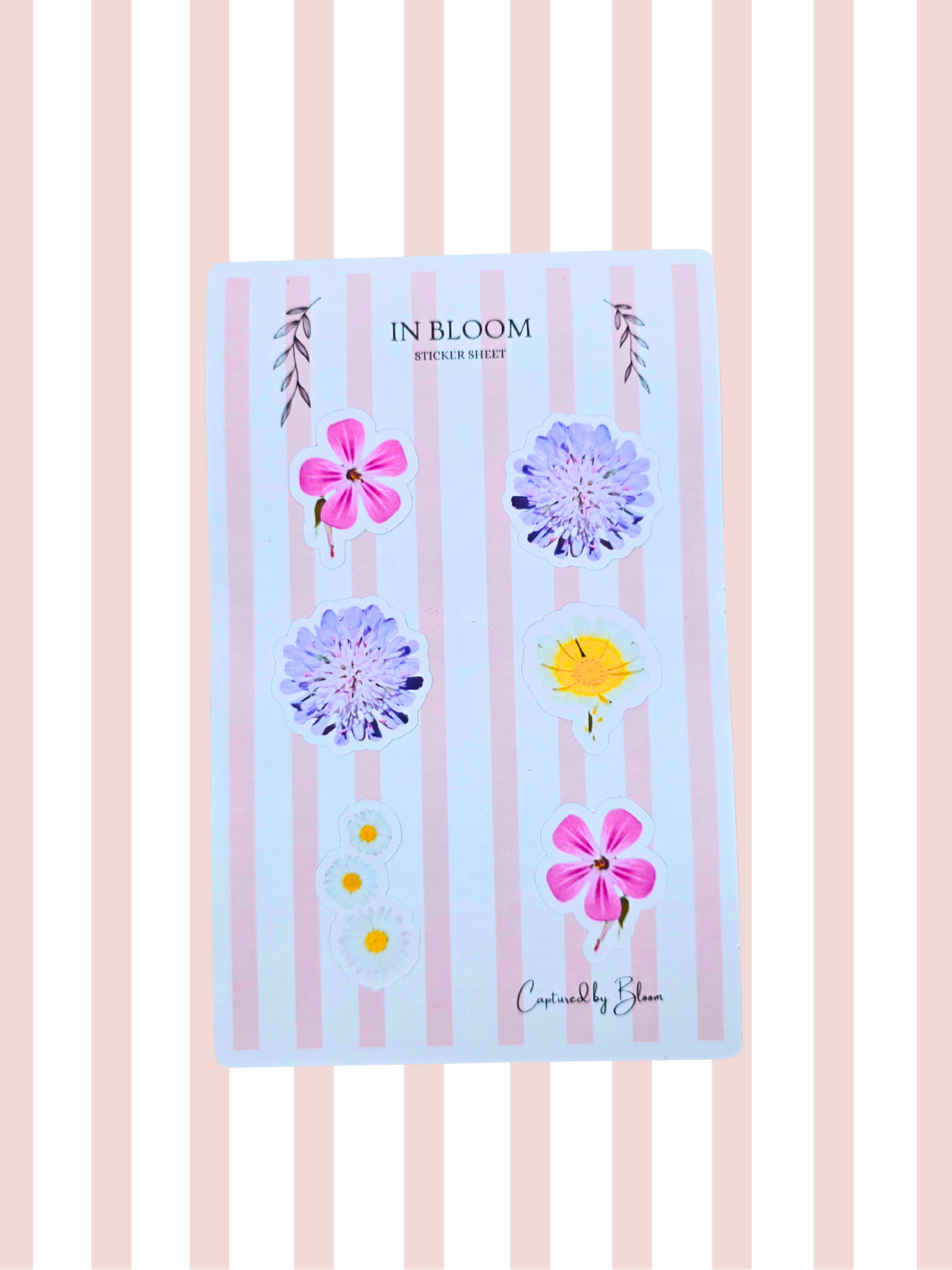 In Bloom Sticker Sheet